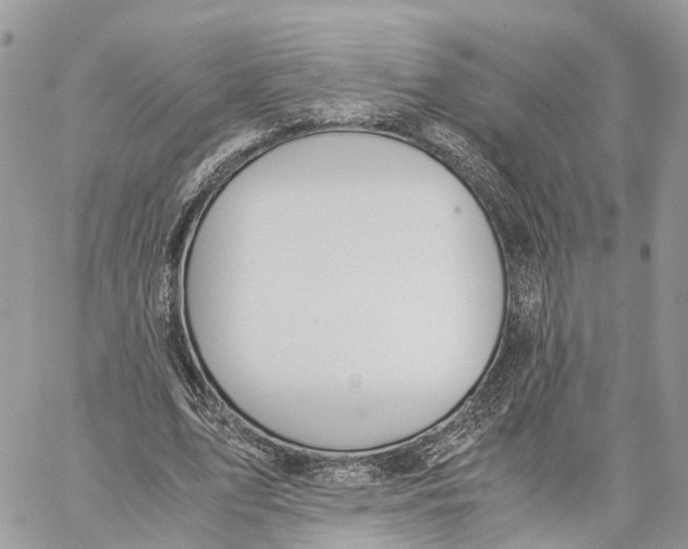 X0000060260583200511181356