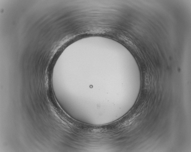 X0000060260584200511181356