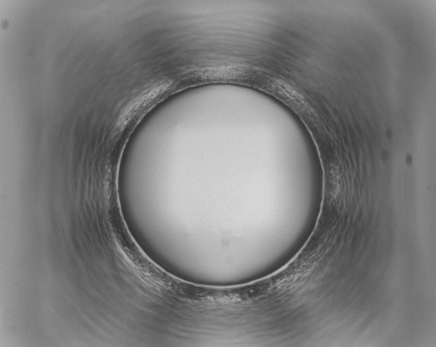 X0000060260586200511181356