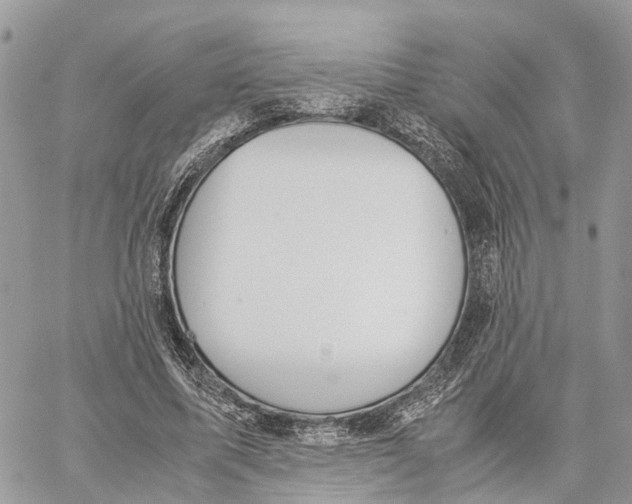 X0000060260587200511181356