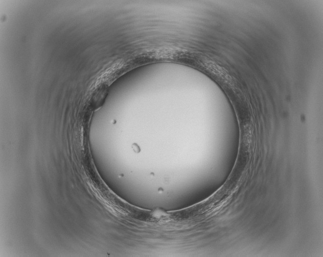 X0000060260589200511181356