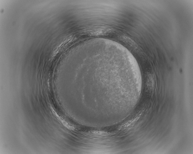 X0000060260590200511181356