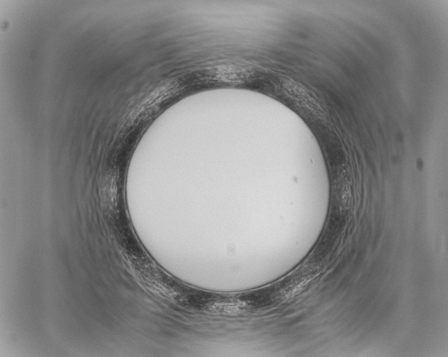 X0000060260595200511181356