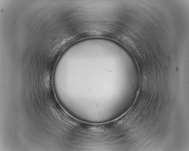 X0000060260596200511181356