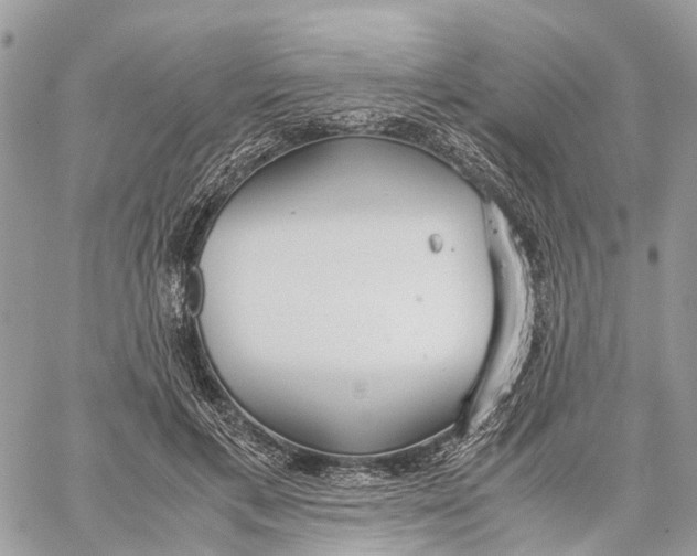 X0000060260597200511181356