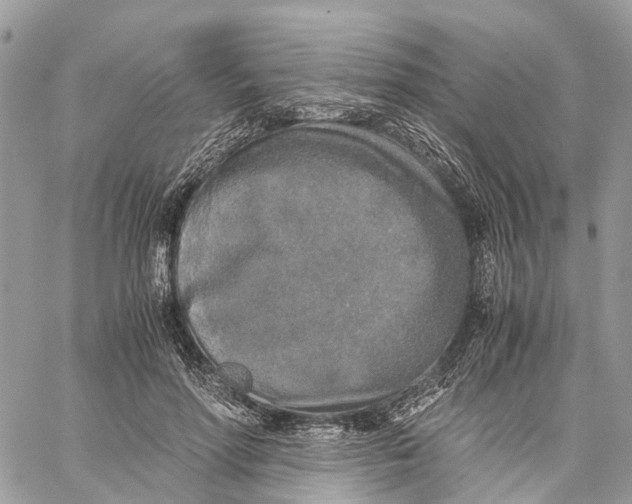 X0000060260598200511181356