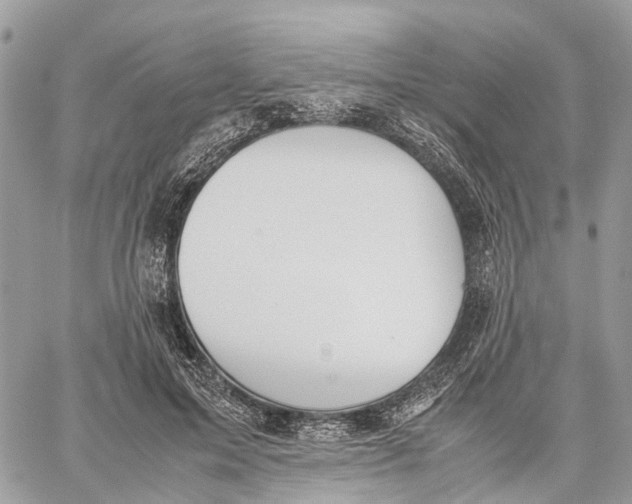 X0000060260599200511181356