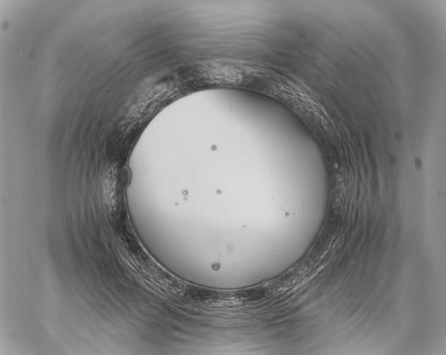 X0000060260600200511181356