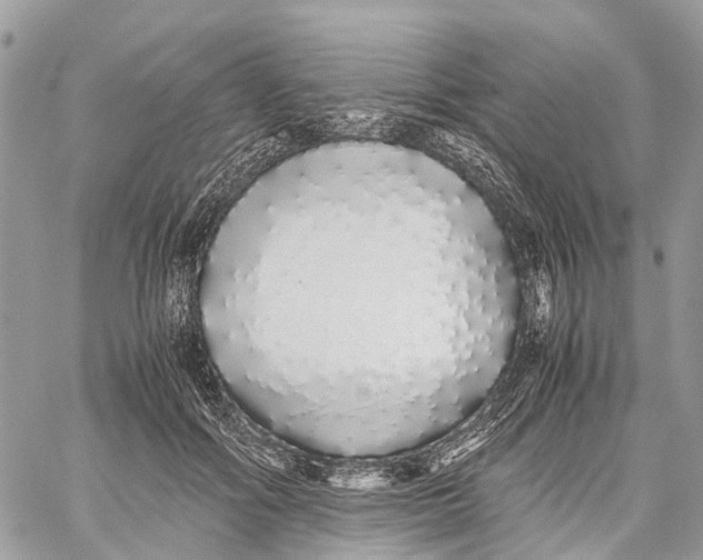 X0000060260602200511181356