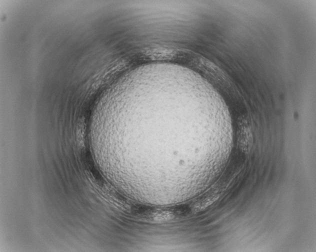 X0000060260604200511181356