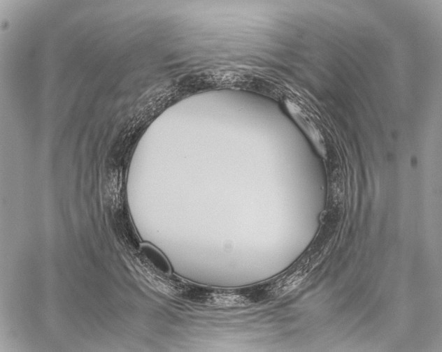 X0000060260605200511181356