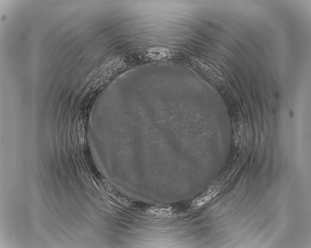 X0000060260606200511181356