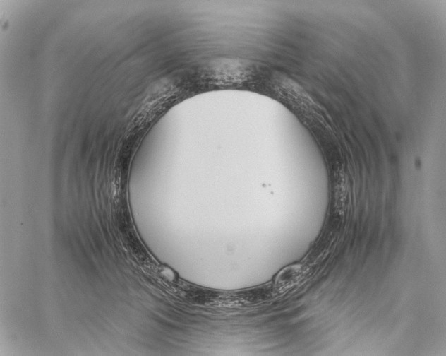 X0000060260608200511181356