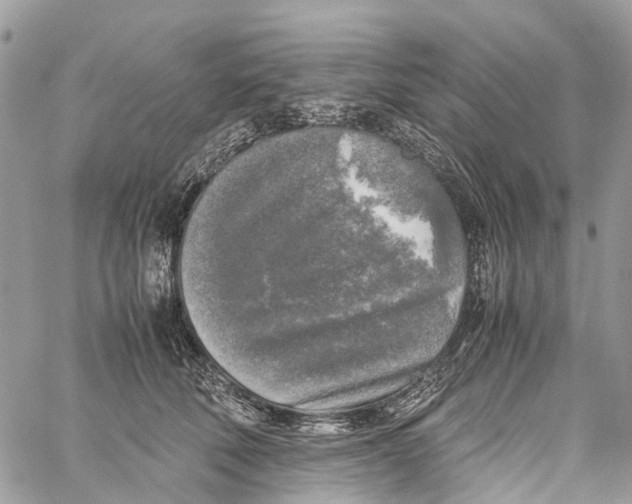 X0000060260610200511181356