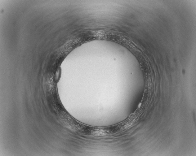 X0000060260611200511181356