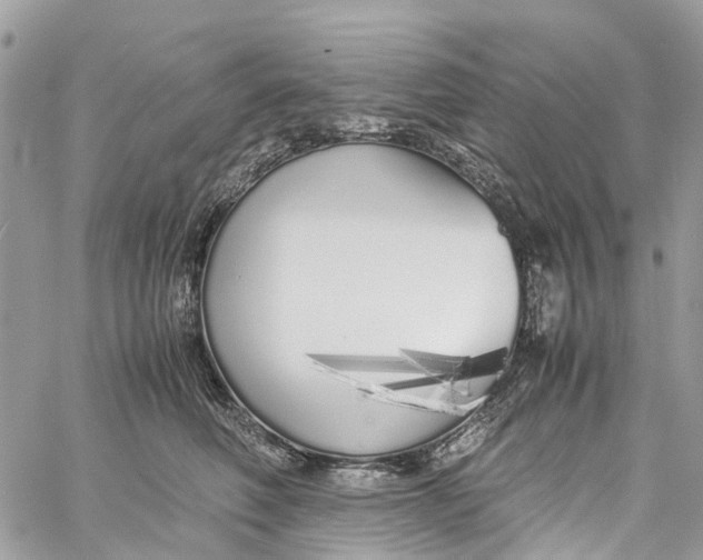 X0000060260614200511181356