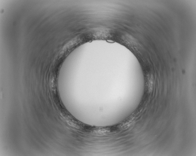 X0000060260619200511181356