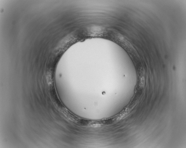 X0000060260620200511181356