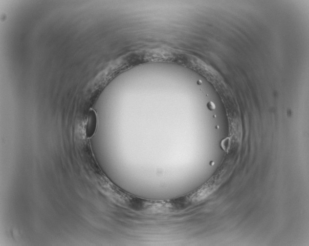 X0000060260621200511181356