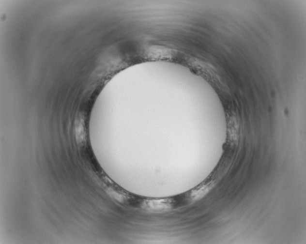 X0000060260622200511181356