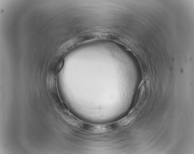 X0000060260623200511181356