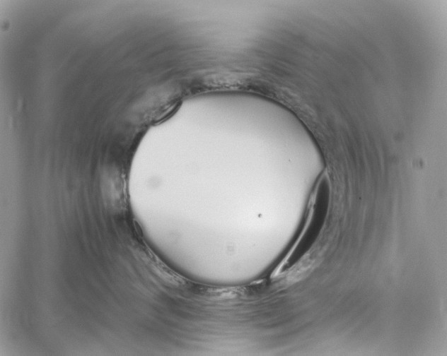 X0000060260624200511181355