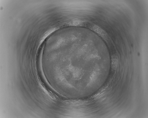 X0000060260626200511181355