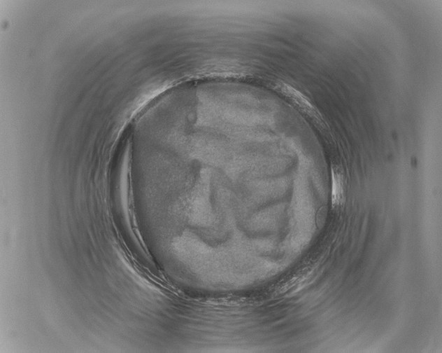 X0000060260627200511181355