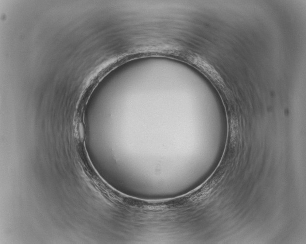 X0000060260628200511181355