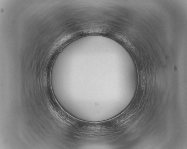 X0000060260631200511181355