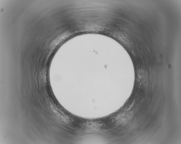 X0000060260632200511181355