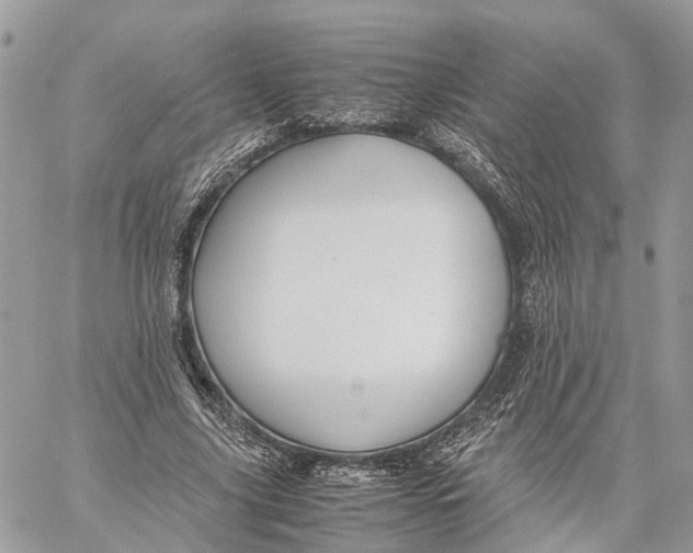 X0000060260635200511181355