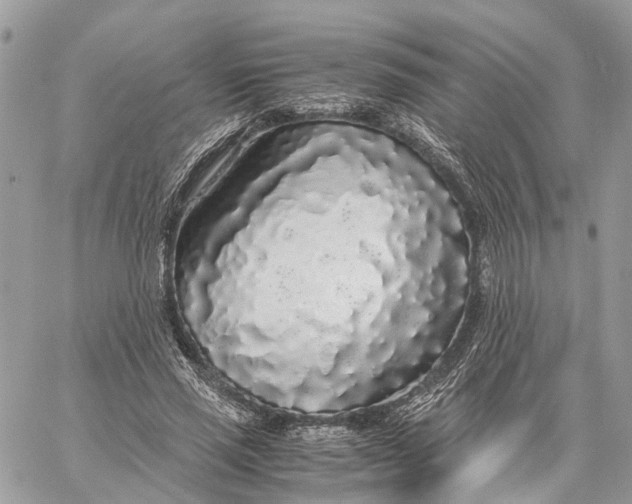 X0000060260637200511181355