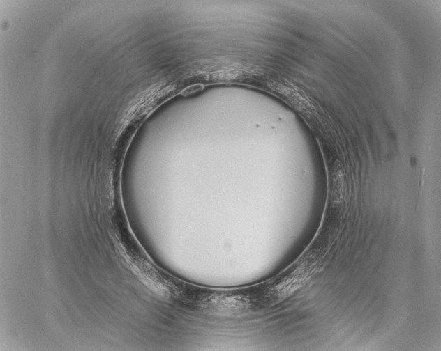 X0000060260638200511181355