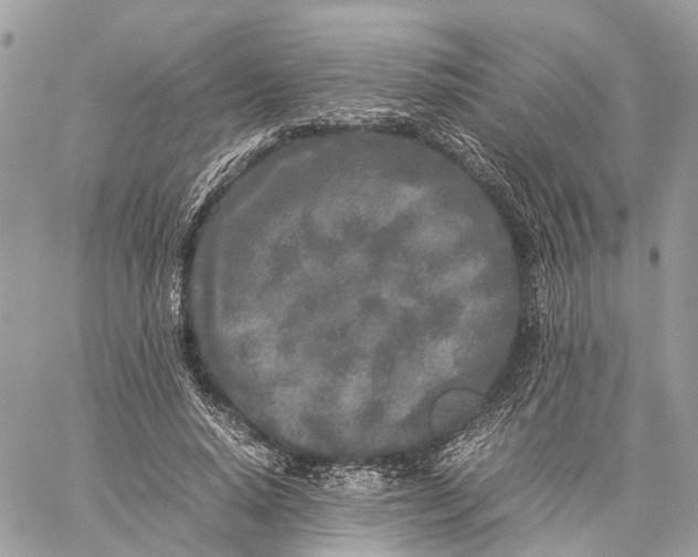 X0000060260640200511181355