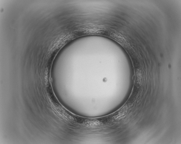 X0000060260642200511181355