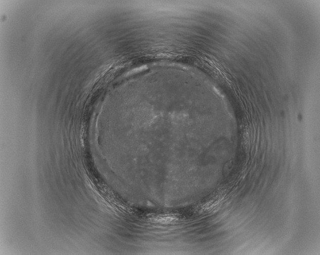 X0000060260643200511181355