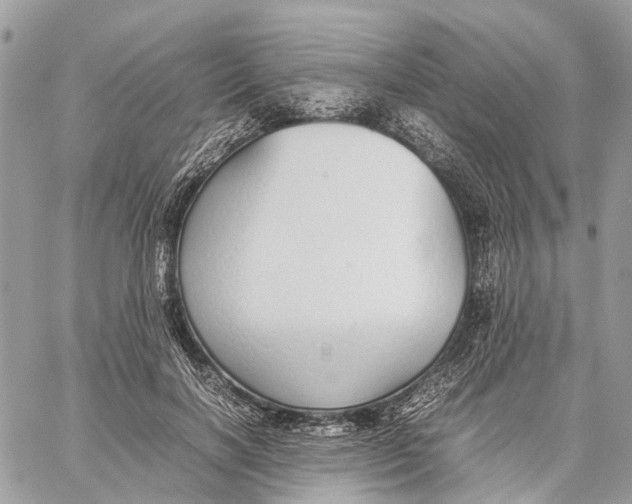 X0000060260646200511181355