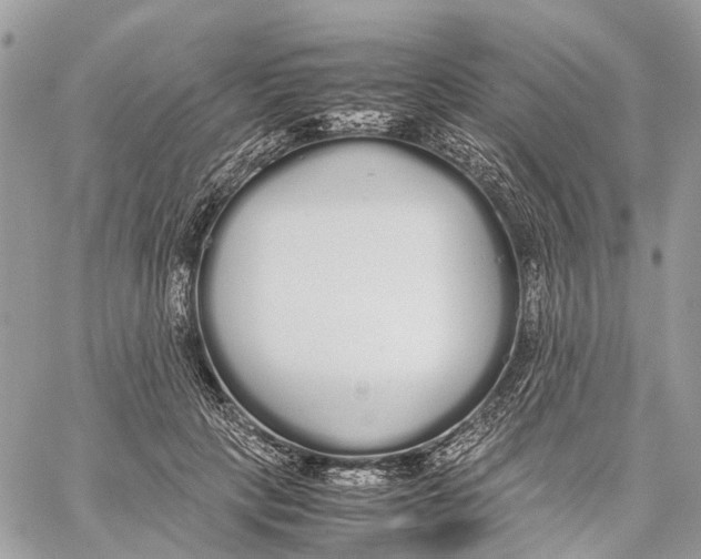 X0000060260649200511181355