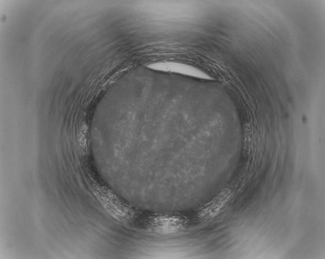 X0000060260650200511181355