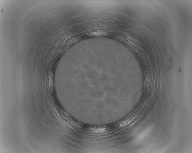 X0000060260651200511181355