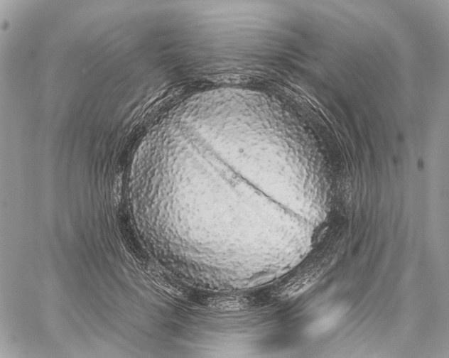 X0000060260652200511181355