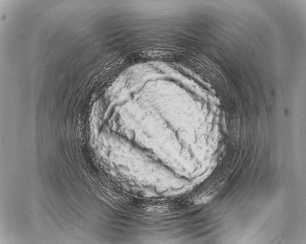 X0000060260653200511181355