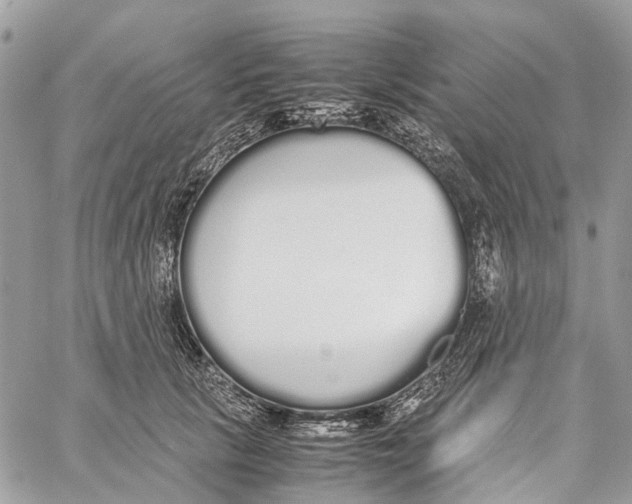 X0000060260657200511181355