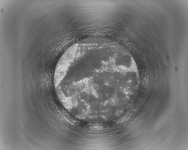 X0000060260658200511181355