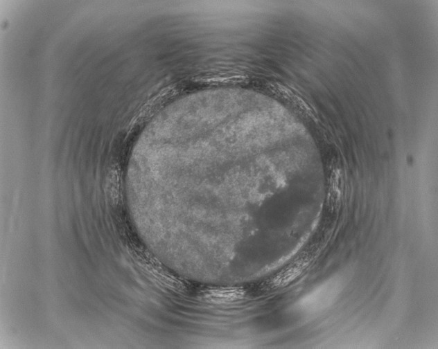 X0000060260659200511181355