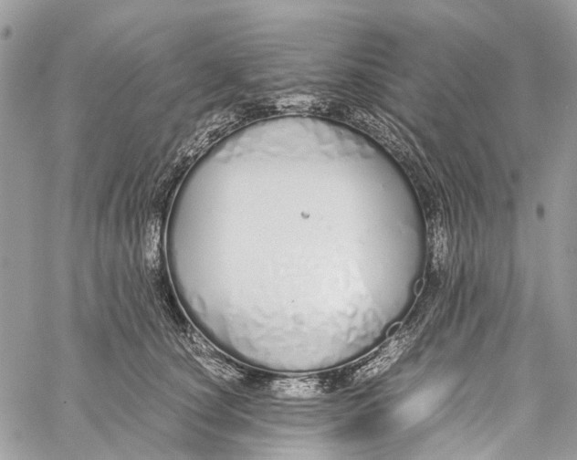 X0000060260660200511181355