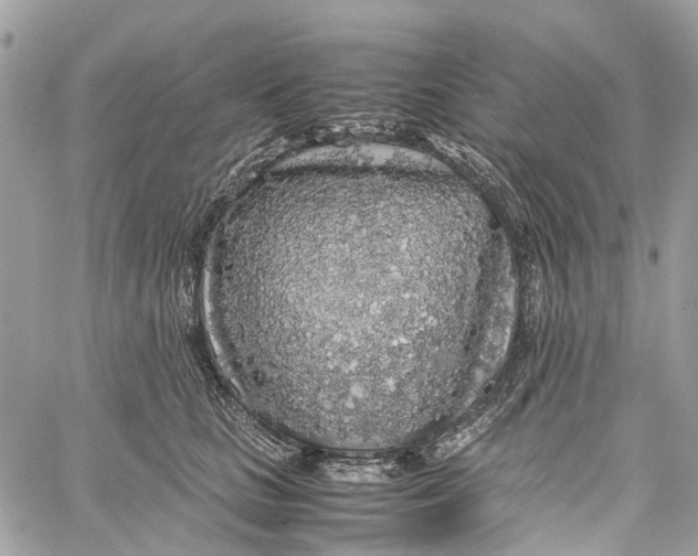 X0000060260661200511181355