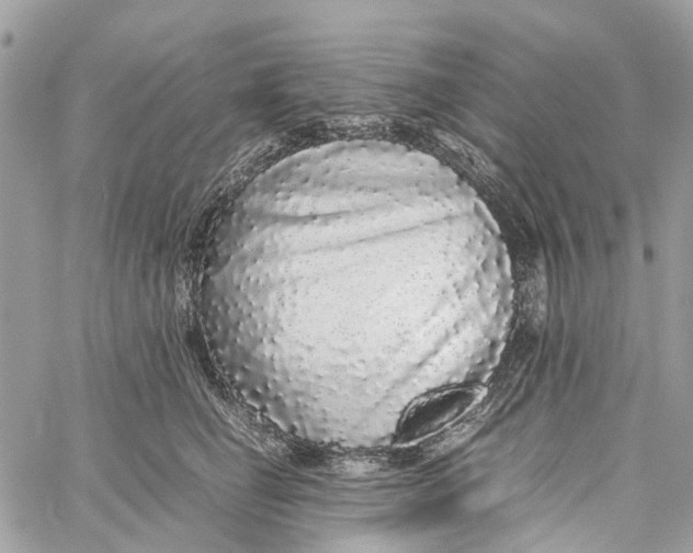 X0000060260662200511181355