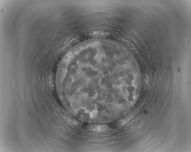 X0000060260663200511181355